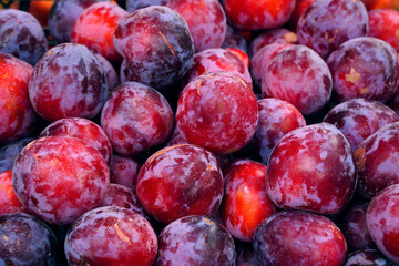 fresh red plums close up	