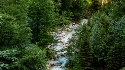 Clear water streams through gorge