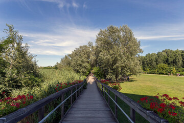 Fototapeta na wymiar Nature trail at the Lake Tisza Ecocentre in Poroszlo