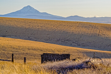 Rolling Hills of Wheat with old equipment in the foreground 