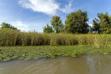 Lake Tisza at Poroszlo