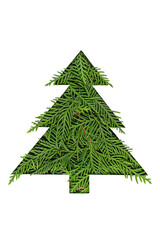 Green Chrristmas tree made of coniferous tree branches on white background. Minimal composition background. New Year and Christmas concept.