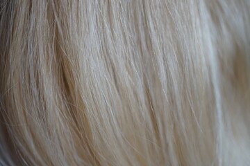 Beautiful blonde hair close up for background