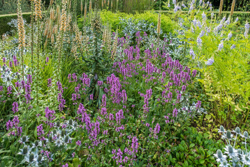 Colourful flowers and flowering herbs in kitchen garden / herb garden in summer