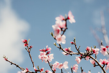Spring has sprung