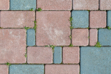 Large and small squares and rectangles in blue and red. The surface is paved with paving stones.