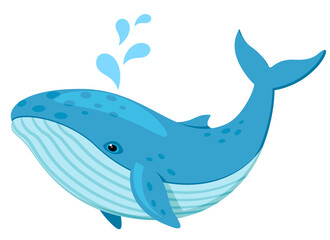 Blue whale on a white background. Undersea world