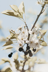 Spring has sprung