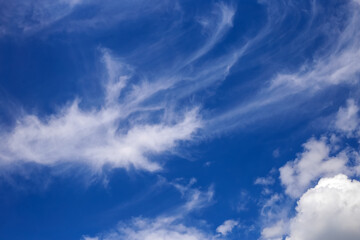 Obraz premium Blue sky and white puffy clouds