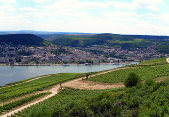 Fototapeta na wymiar View of Rhine from Rüdesheim am Rhein Memorial