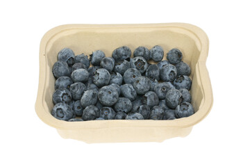 Blueberries in a punnet