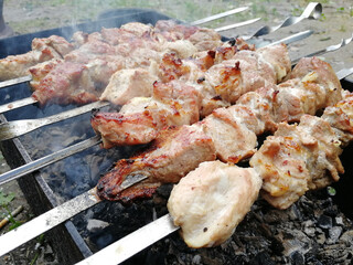 pork shish kebab on skewers is fried on coals in the grill. Picnic, unhealthy food