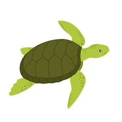 Cartoon sea turtle on a white background. Cute marine turtle. Animal icon. Vector illustration of happy sea turtle. Graphic design for children book, textile, t-shirt.