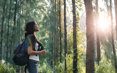 Asian woman traveling and camping in forest with happiness