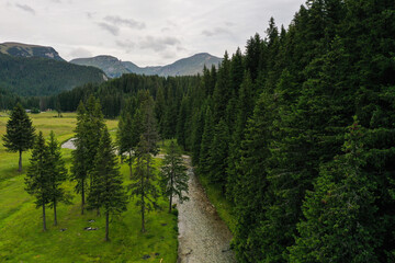 Obraz premium Drone photograph over a mountain river and a pine tree forest in Bucegi Mountains, Romania.
