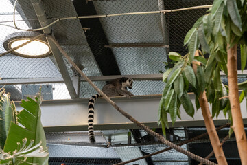 BioDomo del museo de la ciencia de Granada