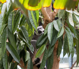 BioDomo del museo de la ciencia de Granada