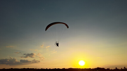 sunflower field and paraglider at sunset