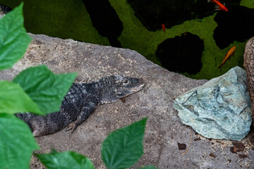 BioDomo del museo de la ciencia de Granada