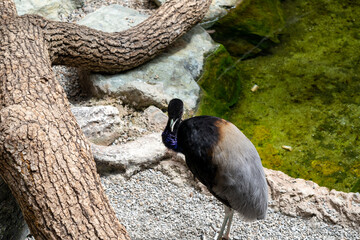BioDomo del museo de la ciencia de Granada