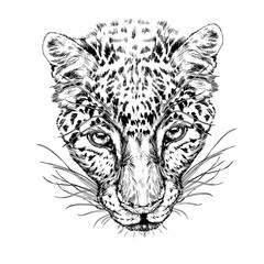 
Leopard in vintage style.