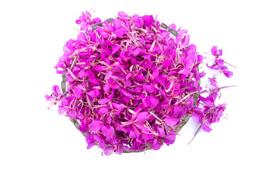 Fireweed flowers isolated on white background. Pink flower petals in a round shape glass bowl
