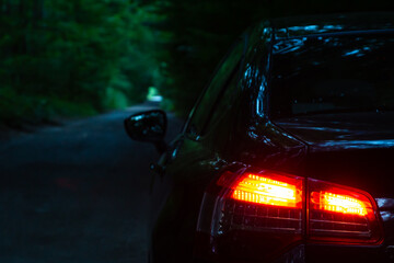 Red tale lights shining in the shadow. Car parked in the forest 