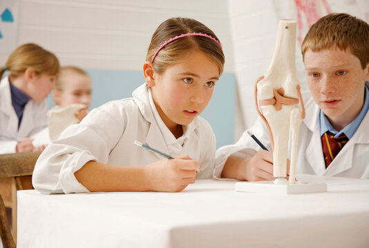 Curious junior high school students looking at bone model in science class