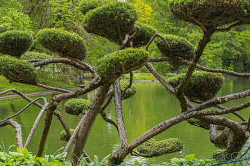 Fototapeta premium Public Garden (Jardin parc) built in the 18th century, is the French traditional garden and most famous park in Bordeaux. Bordeaux, France.