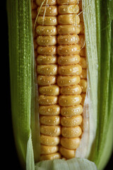 Delicious homemade corn, environmentally friendly, free of nitrates and carcinogens. Close up, macro