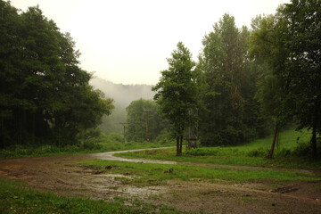 Fototapeta na wymiar Summer storm with rain and muddy forest road