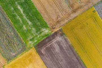 Top view of cultivation fields