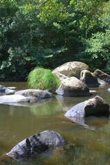 Naklejka na ściany i meble paysage de rivière , nature et gros rochers dans la nature en été