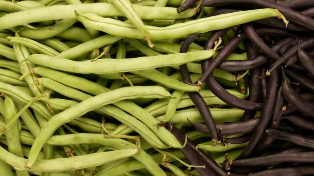Green and purple beans, dolly shot.