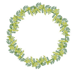 Circle of Yellow mimosa on a white background. spring floral frame.