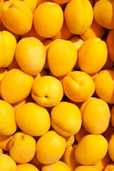 Ripe fresh apricots fruit background