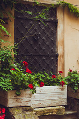 Fototapeta na wymiar Beautiful green area of Trastevere in Rome