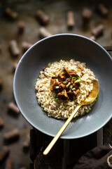 Mushroom risotto with onions 