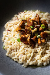 Mushroom risotto with onions 