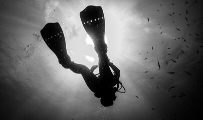 Scubadiving. Scuba divers diving at the shipwreck.