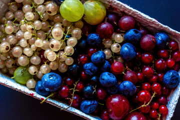 Abstract Close up colorful berries such as blueberry, cherry white currant & red currant