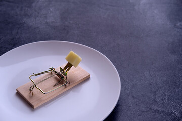 Cheese in a mousetrap on a plate