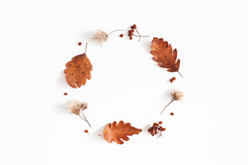 Obraz na płótnie Canvas Autumn composition. Wreath made of dried leaves, flowers, rowan berries on white background. Autumn, fall, thanksgiving day concept. Flat lay, top view
