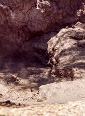 Geothermal mud pool with bubbles