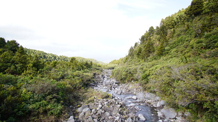 New Zealand