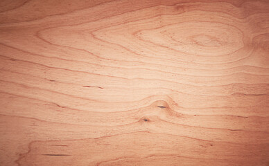 natural wood texture. natural background