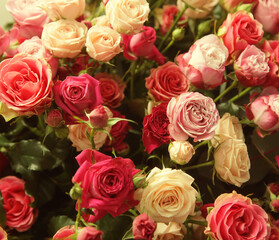 multicolor roses bouquet