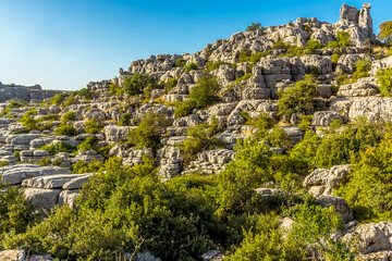 Fototapeta na wymiar Slabs of weathered limestone form a ridge in the Karst landscape of El Torcal near to Antequera, Spain in the summertime
