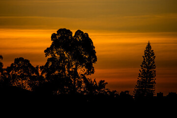 P&ocirc;r do Sol no Parque - &Aacute;rvores