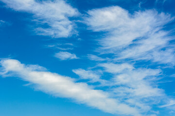 Fototapeta premium blue sky with clouds. many spindrift clouds are dense predawn sky start of the day